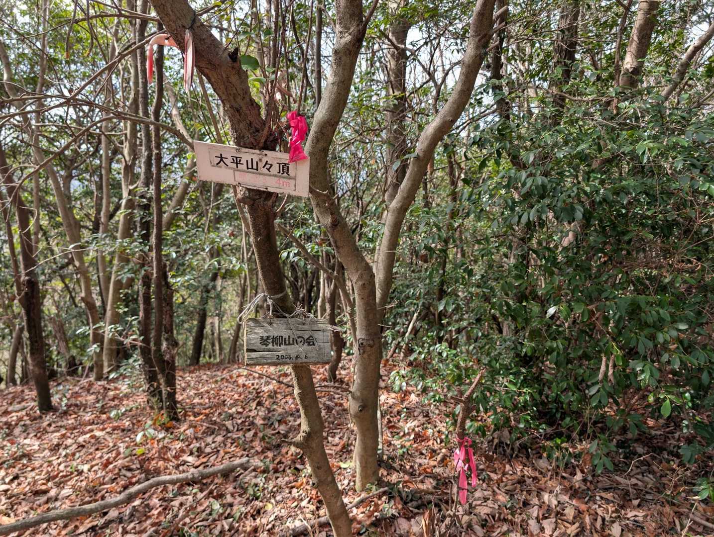 大平山の山頂。