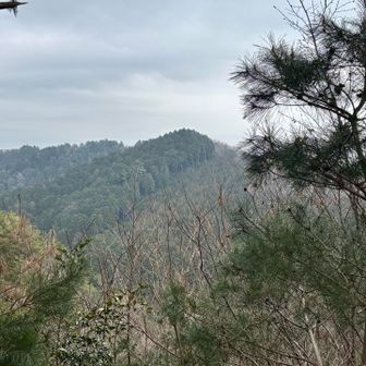 あれは鶏足山か