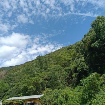 楽しかった