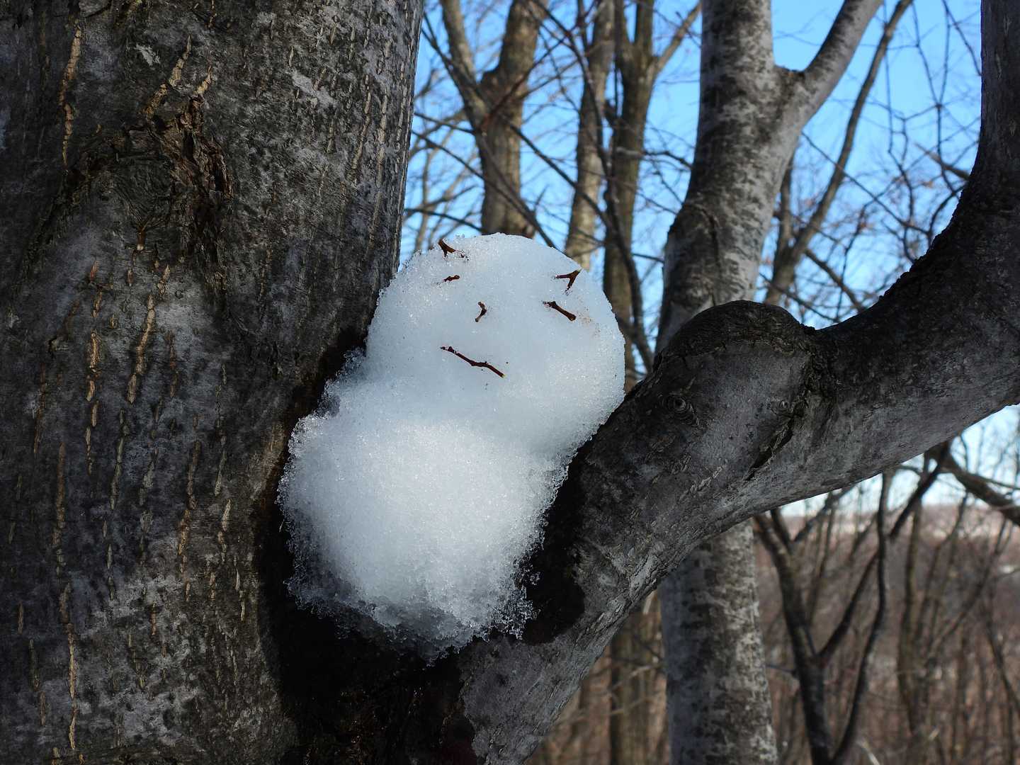 ザラメ雪で溶けちゃうから早く撮ってよ