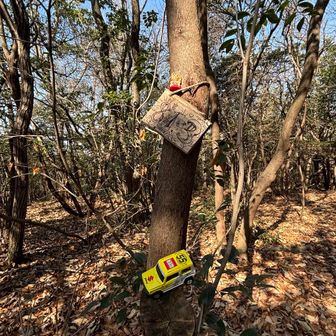 かわいい山頂看板💞
