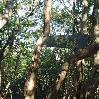 笙ヶ岳東峰