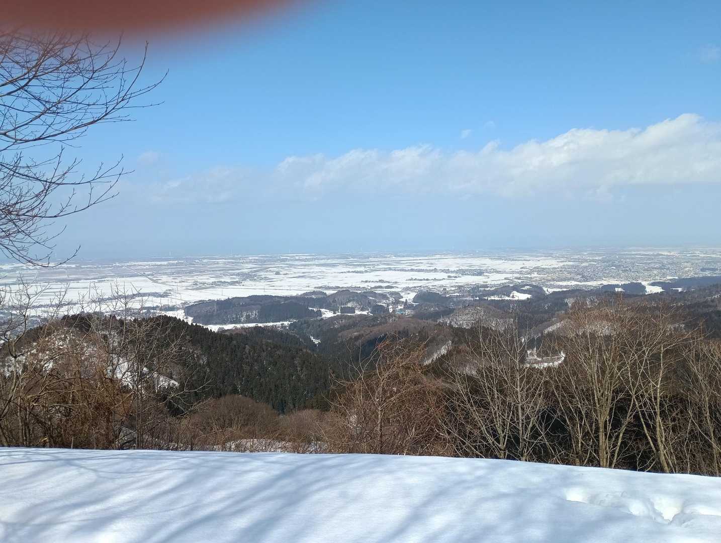 桜公園登山口-願文山-大峰山 往復コースの写真