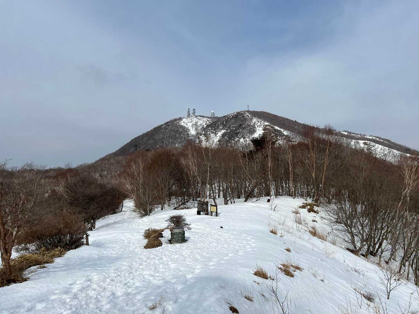 霧氷が付いたらキレイそうな木もたくさん。
奥に地蔵岳。