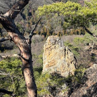 ロウソク岩
別名　佐野のジャンダルム
