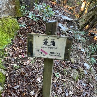 気になっていた蒼滝によってみた。