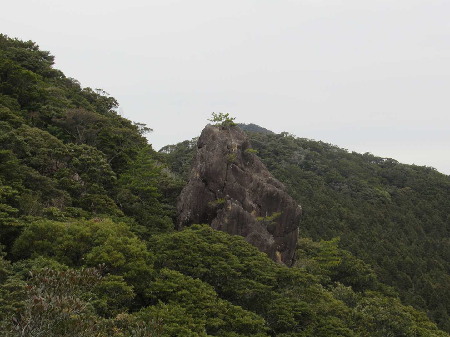 鬼立岩。