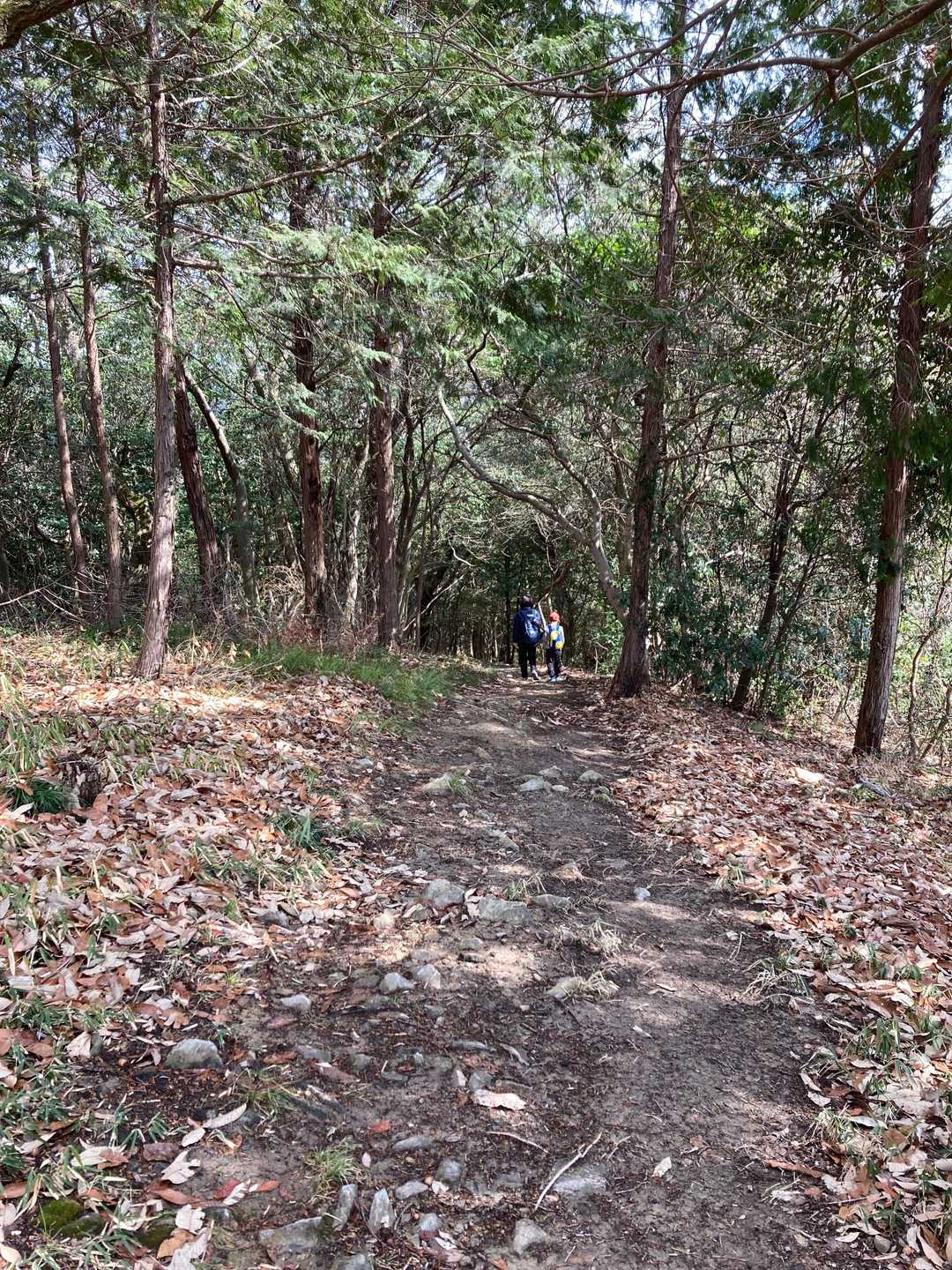龍王山-吉備津彦神社 周回コースの写真