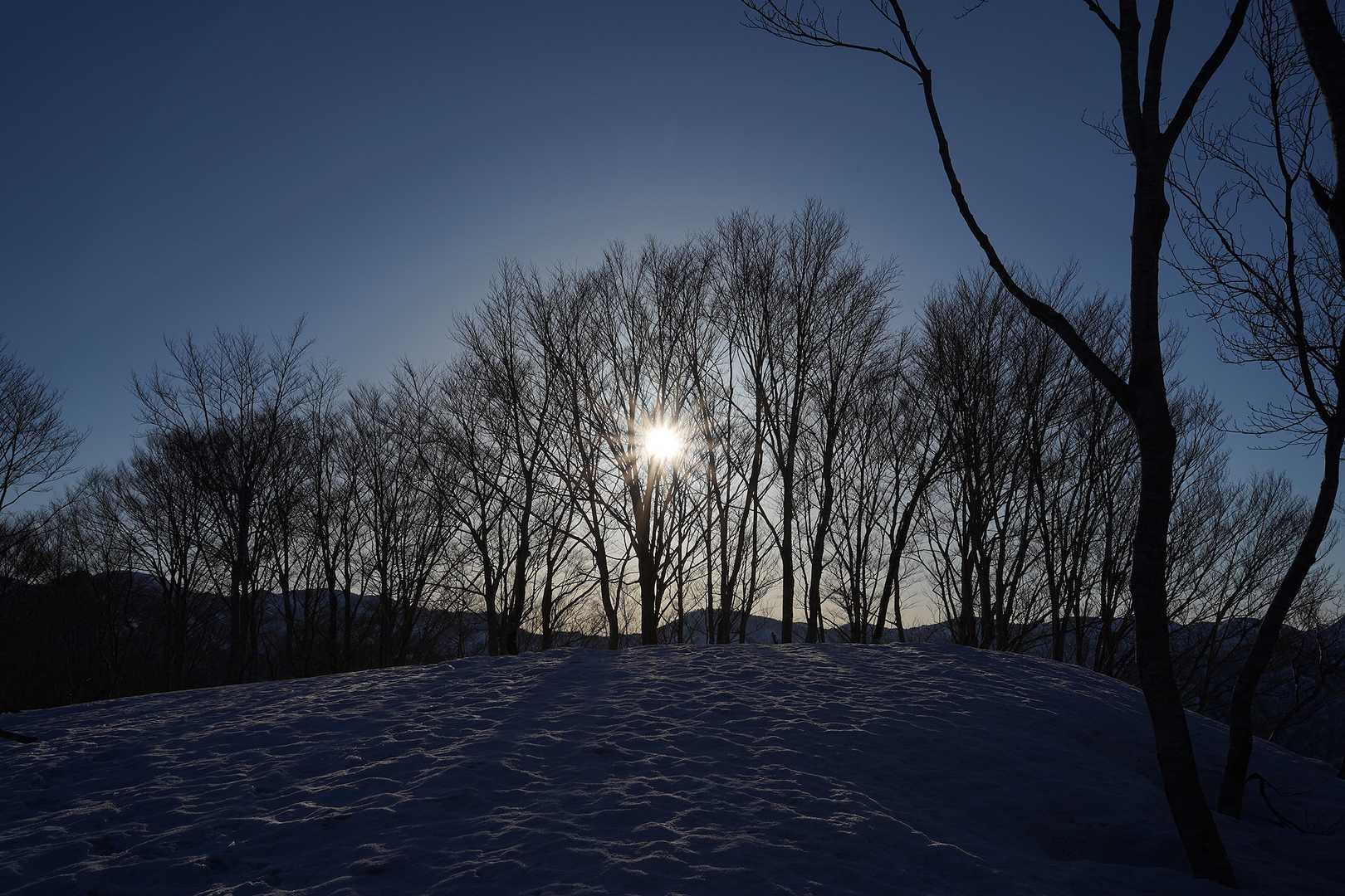 山毛欅尾山を登ると癒しの風景が