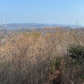 大明神山むかいま〜す。
かなりの下り、登り返しが心配（笑）