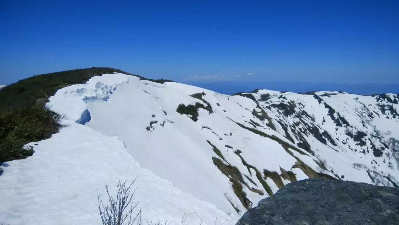 葉山の写真