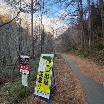 さすがに🐻は大丈夫かと
でも熊鈴とスプレー持参
