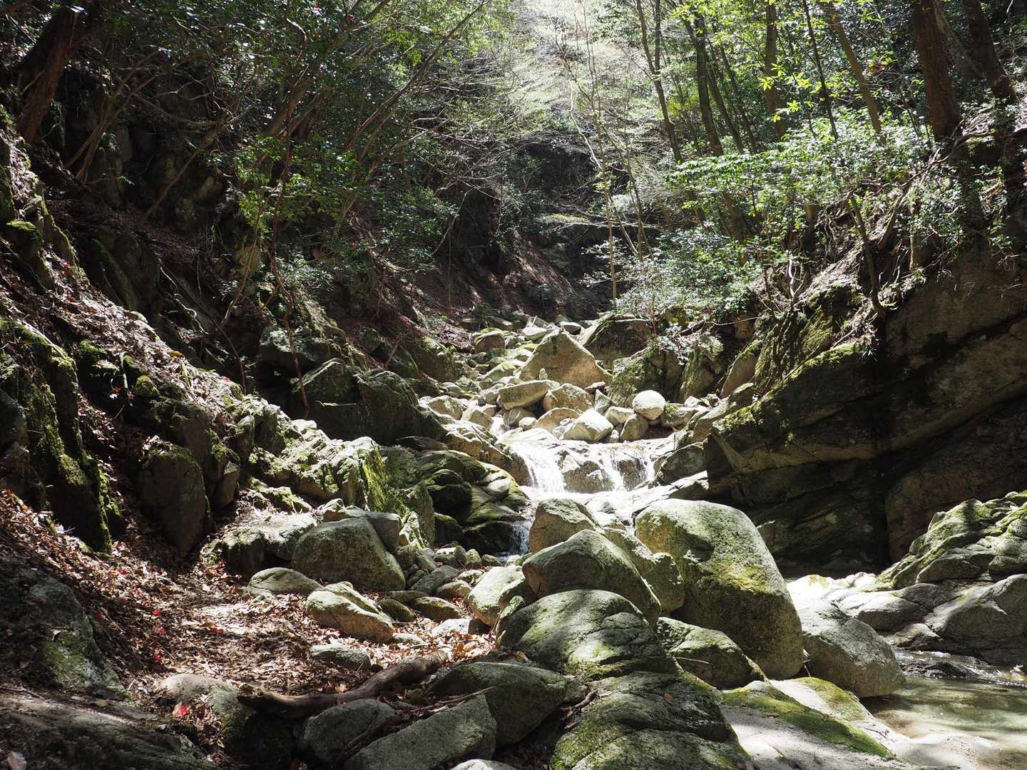 中登山口-鎌ヶ岳-弥一ヶ岳 周回コースの写真