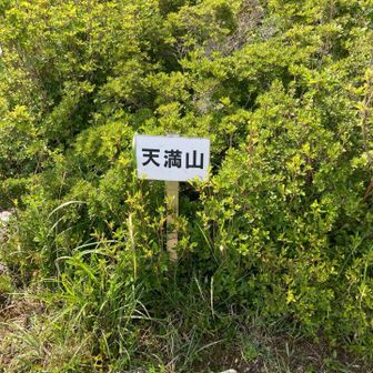 天満山、通過！ここはピークか？