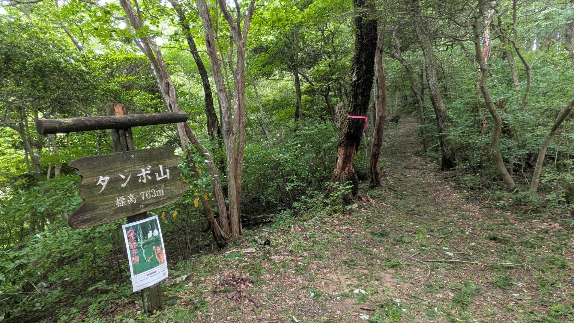 ダイヤモンドトレイル（金剛山-金伏見峠-久留野峠-紀見峠）縦走コースの写真