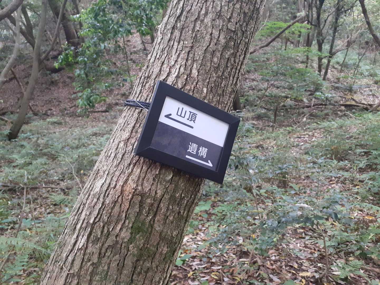 以前行った時はなかった標識😊
