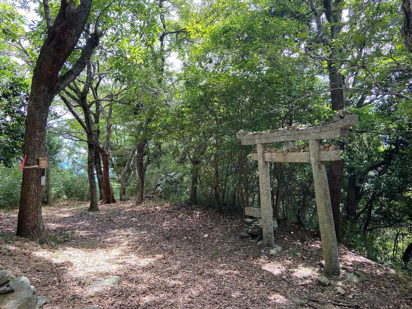 兄弟山 往復コースの写真