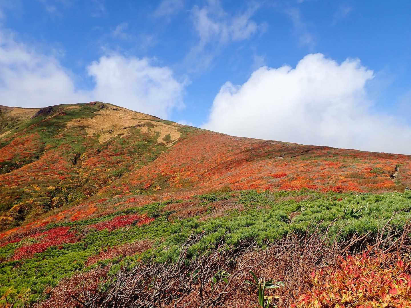 栗駒山 | 神の絨毯と称される圧倒的な紅葉美、山全体を染める極彩色のパノラマの写真
