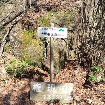 大野権現山到着です。