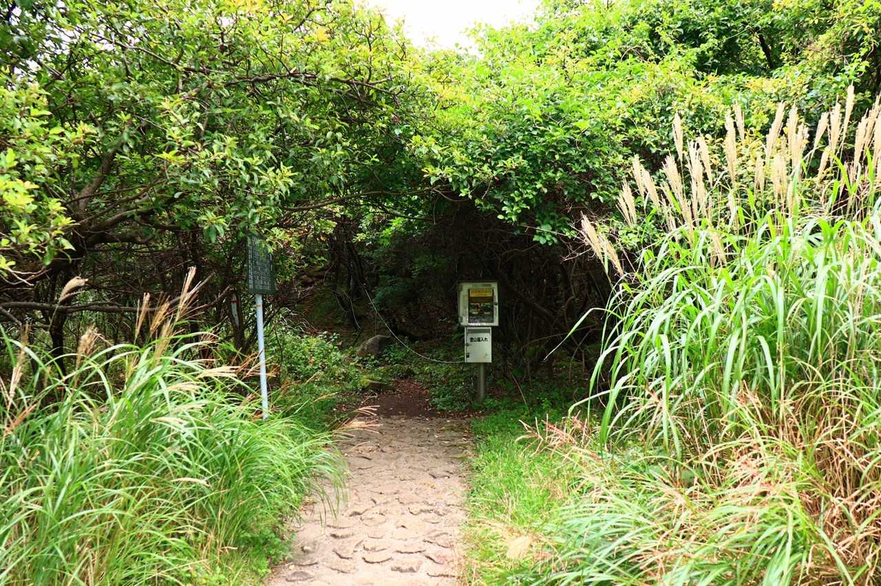 大曲登山口に降りました。こっから車道を歩いて牧ノ戸峠に戻ります。ありがとうございました。最後は竹原慎二風に締めくくりたいと思います…。