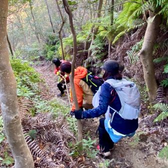 高鳥居山からは激下り💦