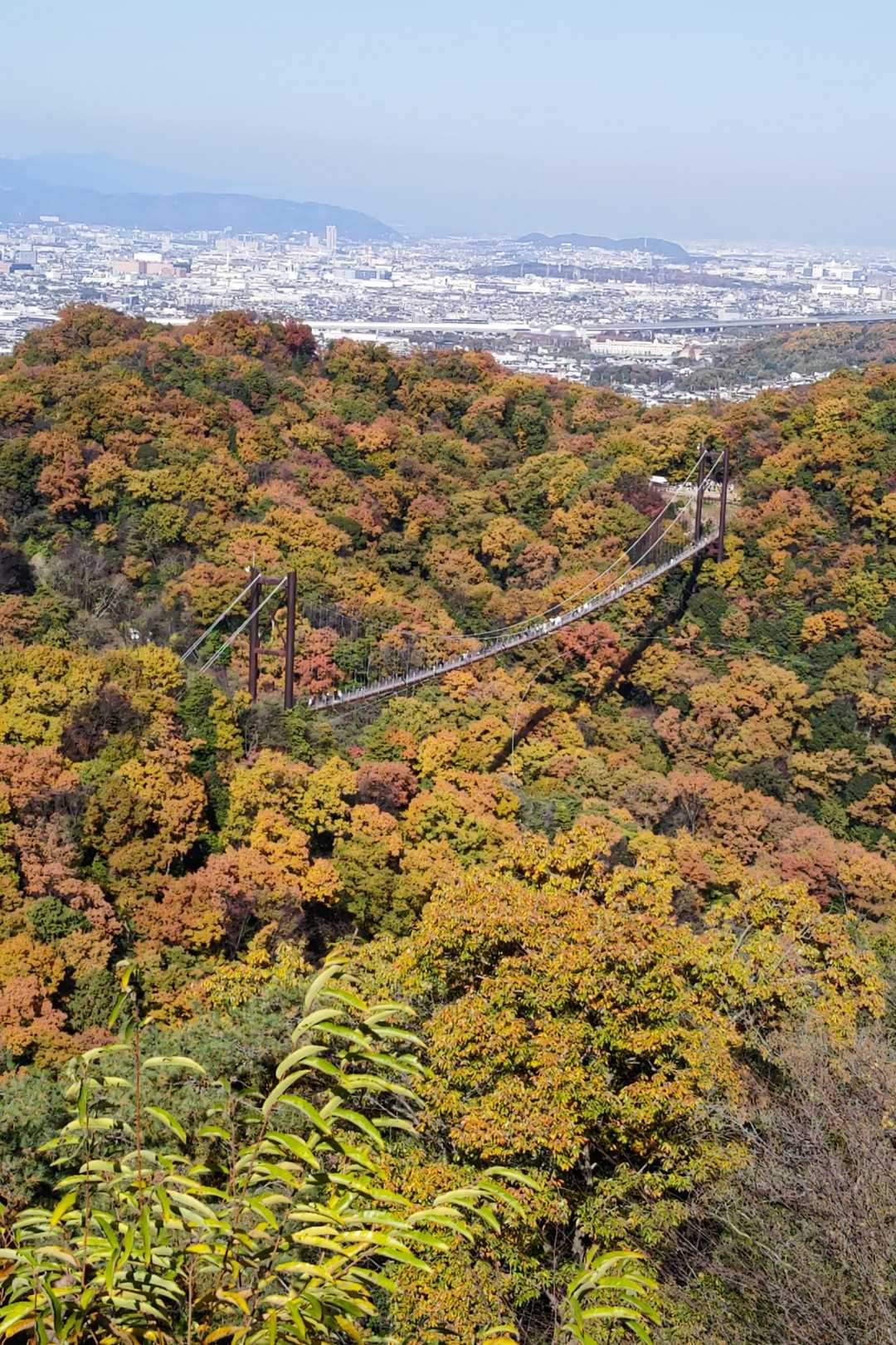 馬が嶺・日南山・白峯～吊り橋🍁 / cocataさんの生駒山・神津嶽・大原山の活動データ | YAMAP / ヤマップ