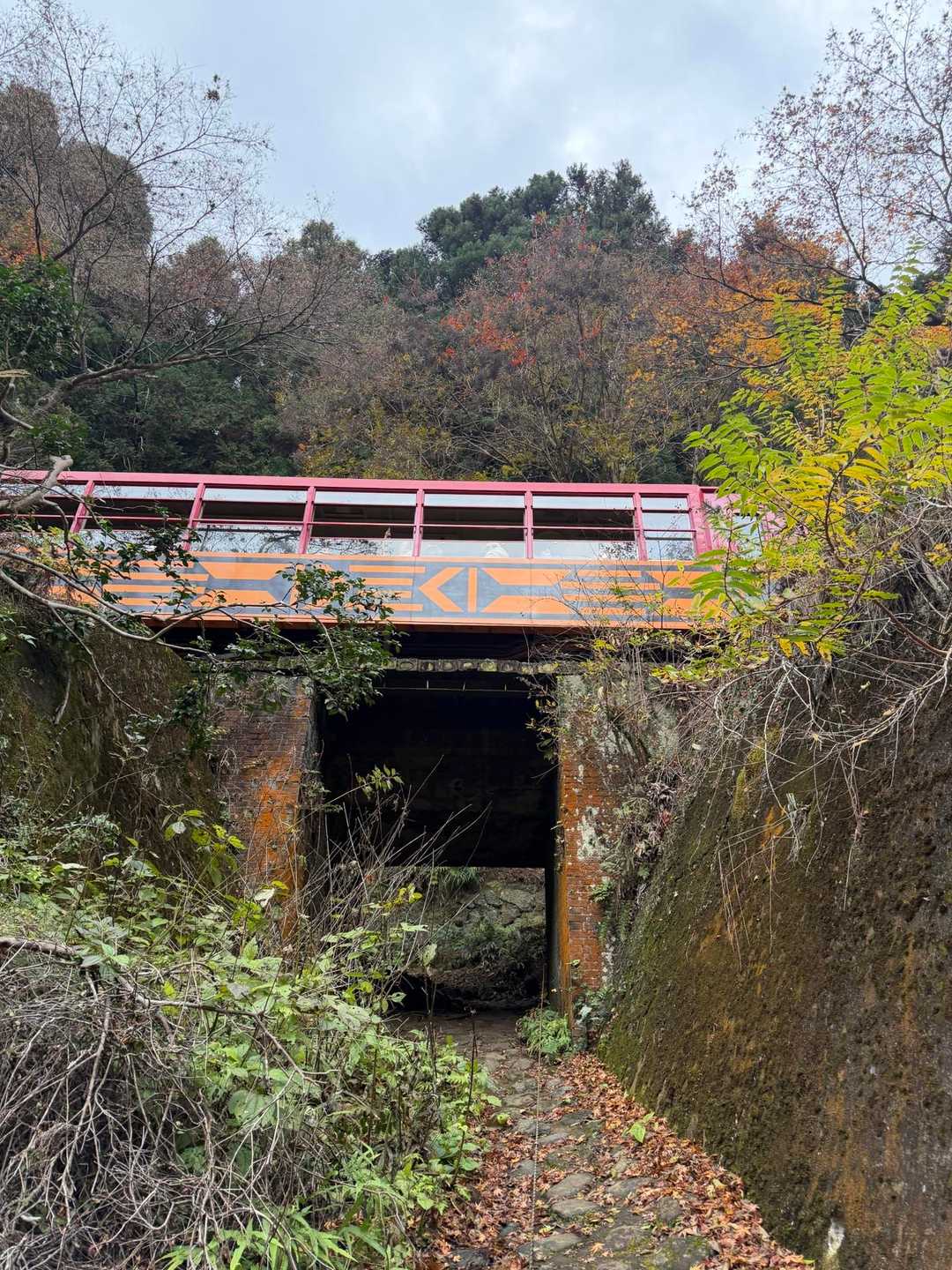 保津峡駅-保津峡登山口-トロッコ保津峡駅-新烏ヶ岳-烏ヶ岳 縦走コースの写真