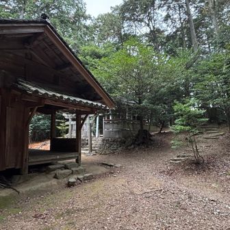 ピークはこの辺り
標識ナシ
地味だった