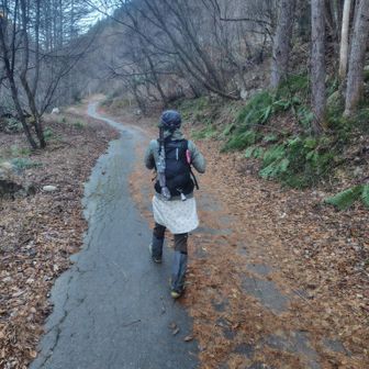 今日ご一緒の🍃隊長✨️
2号のゆずさんは宮城県へ遠征中☝️