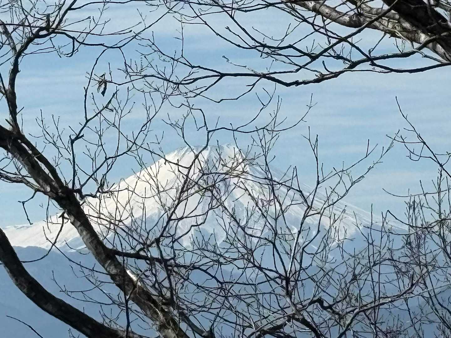 後で絶景の富士山が見えるの知らず、木の間から少しでも写る場所探してパチリ📷