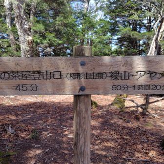 櫛形山の最高点は池の茶屋登山口と裸山のちょうど中間地点になる💡