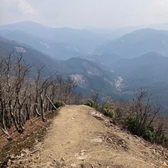 さぁ、下山。
春霞ですが
気持ちいい😊