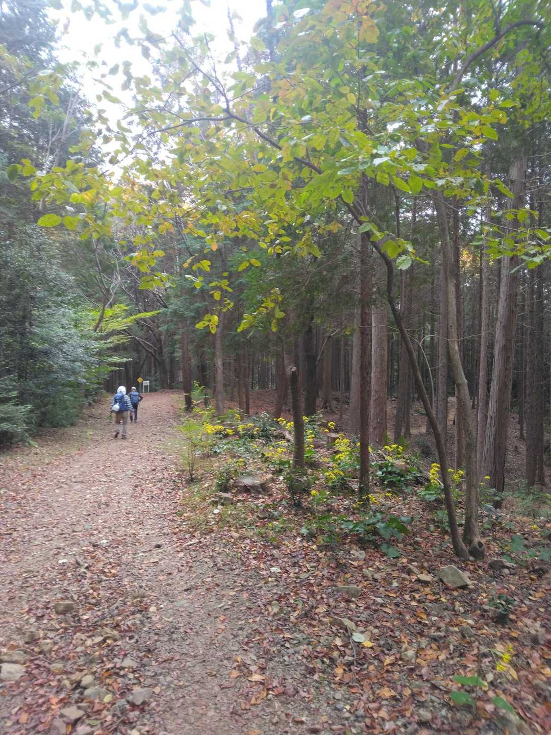 山友さんと下山🚶