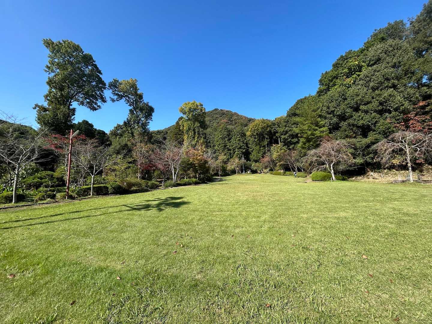 芝生の奥に畝傍山です🎶