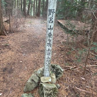 ピークなんですよ、ひっそり
三角点がない‼️