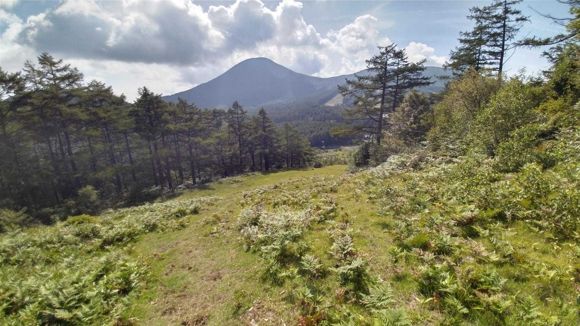 ですが中盤から傾斜が増し  急登の区間があるので 頭に入れておきましょう👍️