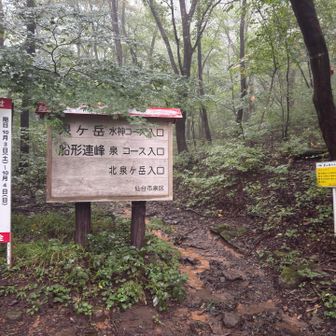 水神コースピストンで🏃‍♀️