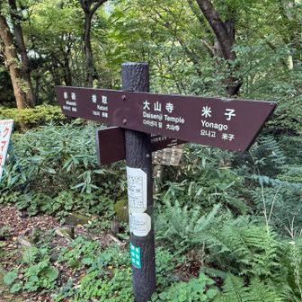 帰ってきました！
長かった🫩

おつかれ山でした☺️