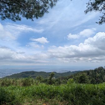 青空でてきた