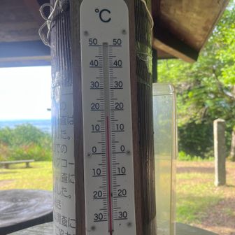 17℃、風が強くて🌪️太陽が出ないと寒い寒い🥶