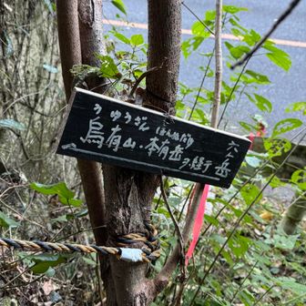 妙見山登山口の近くに下って来ました。
とりつきのところが一番荒々しいかな😅