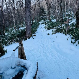 水が凍ってる！
でもちゃんと出てましたよ
