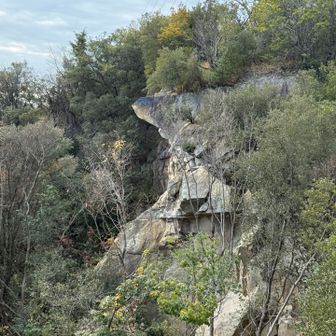 あぁ〜ん💋してる岩