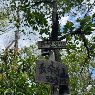 長命寺山⛰️