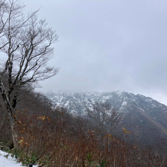 ナイスなタイミングで下山開始まで持ちこたえてくれたお天気☀️ありがとう😊
帰りは雲の中、足元は白い雪で明るく下山。もうすぐ天神平近くになり後ろを振り向くと谷川岳は雲の中☁️でした。