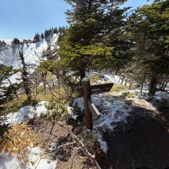 中コースで下山します