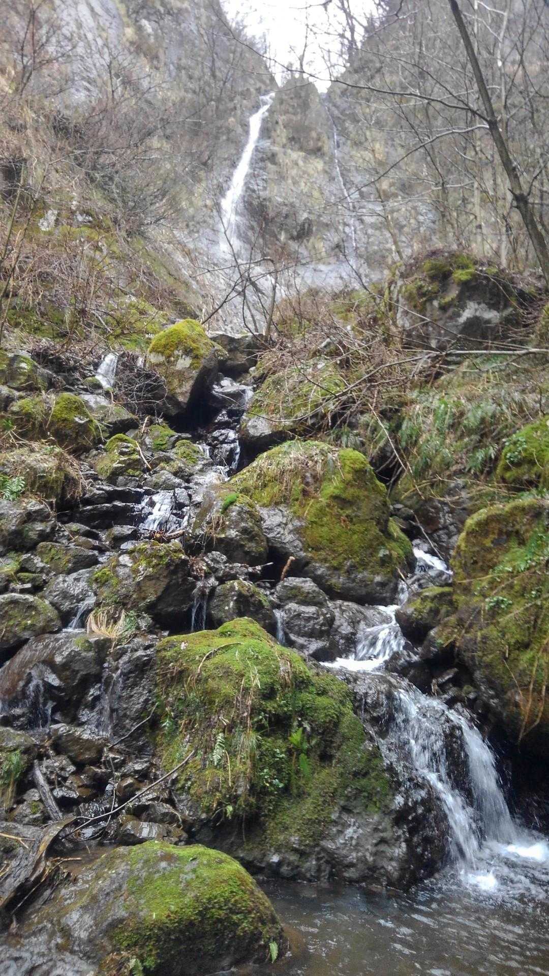権現山 周回コースの写真
