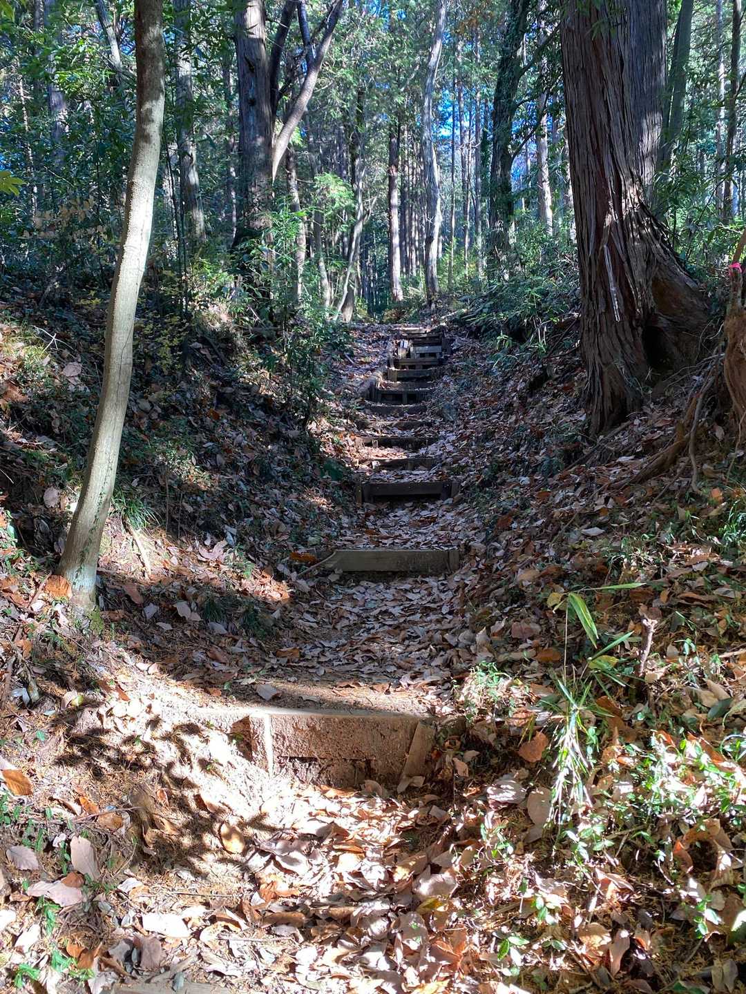 南登山道入口-南コース登山口-坊主山 往復コースの写真