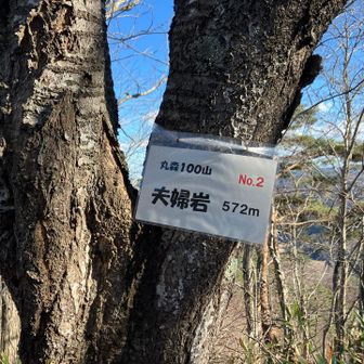 丸森100山なんですね