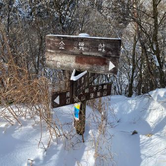 峠に着いた〜次はコヤマノへ向かいます